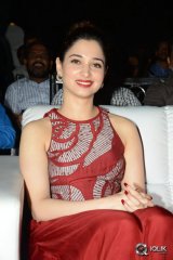 Tamannaah at Bengal Tiger Movie Triple Platinum Disc Function